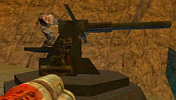 gunpic